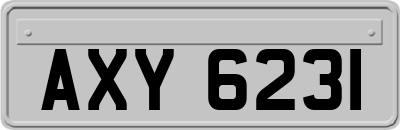 AXY6231