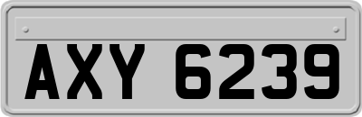AXY6239