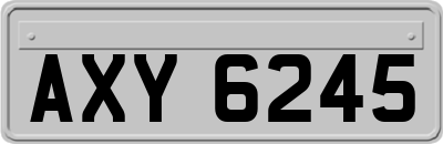 AXY6245