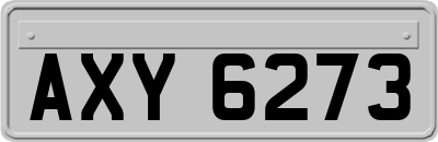AXY6273