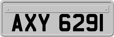 AXY6291