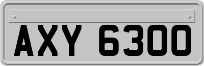 AXY6300