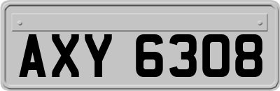 AXY6308