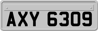 AXY6309