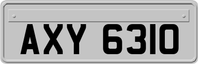 AXY6310