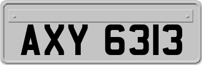 AXY6313