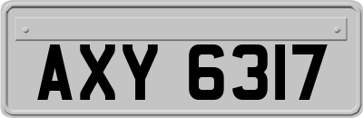 AXY6317