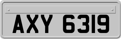AXY6319
