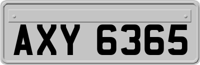 AXY6365