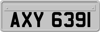 AXY6391