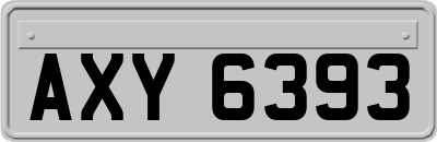 AXY6393