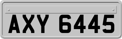 AXY6445