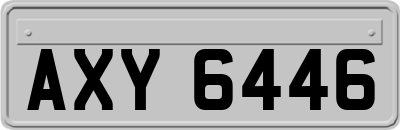 AXY6446