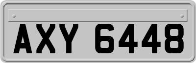 AXY6448