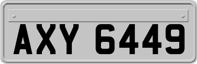 AXY6449