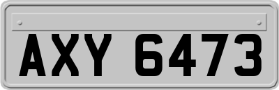 AXY6473