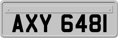 AXY6481