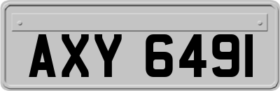 AXY6491