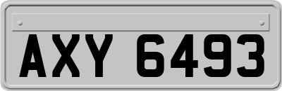 AXY6493