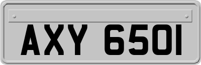 AXY6501