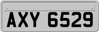 AXY6529