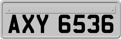 AXY6536
