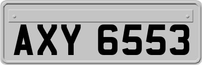 AXY6553