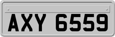 AXY6559