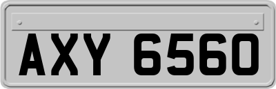 AXY6560