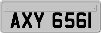 AXY6561
