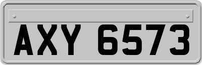AXY6573