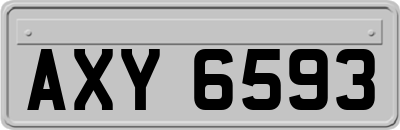 AXY6593