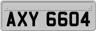 AXY6604
