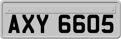 AXY6605