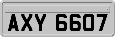 AXY6607