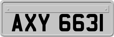 AXY6631