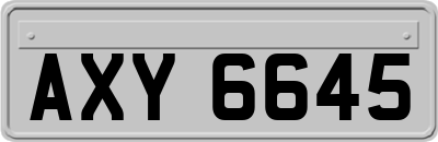 AXY6645