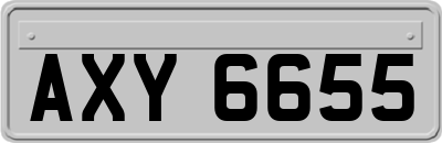 AXY6655