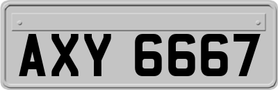 AXY6667