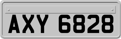 AXY6828