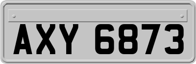AXY6873