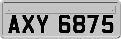 AXY6875