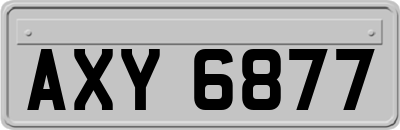 AXY6877
