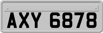 AXY6878