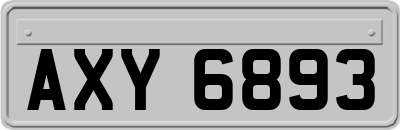 AXY6893