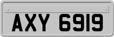 AXY6919