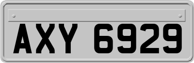 AXY6929