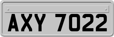 AXY7022