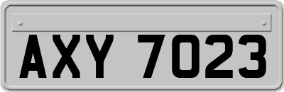 AXY7023