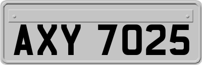AXY7025
